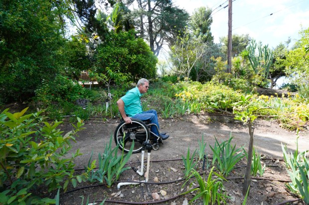 Cantu, who developed the Friendly Inclusive Gardening (FIG) program that's offered through the Master Gardener Association of San Diego County, regularly advises groups on how to make it workable for people with mobility issues or physical disabilities. (Nelvin C. Cepeda / The San Diego Union-Tribune)