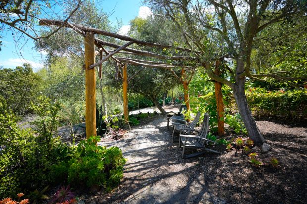 Generously sized sitting areas and wide trails make it manageable for Cantu to navigate throughout his garden. Cantu made a number of changes to give himself control and help prevent injury, including adding switchbacks on hilly portions. (Nelvin C. Cepeda / The San Diego Union-Tribune)