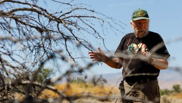 Mark Jorgensen stands next to a dead mesquite in Borrego Springs on Thursday, April 23, 2026. (Kristian Carreon / The San Diego Union-Tribune)