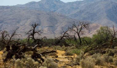 Deep in the San Diego County desert, new research has this town at loggerheads on what to do about water – San Diego Union-Tribune