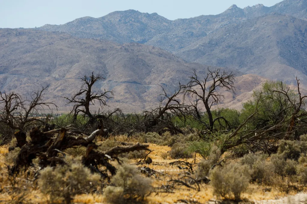 Deep in the San Diego County desert, new research has this town at loggerheads on what to do about water – San Diego Union-Tribune