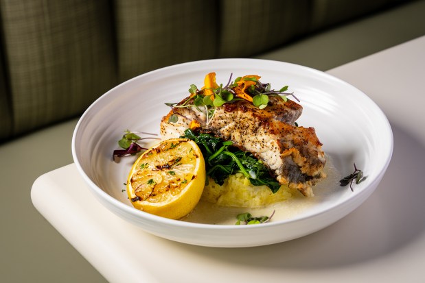 New Zealand sea bass and risotto at Queensland Del Mar, opening Thursday, May 21, in Del Mar. (Kimberly Motos)