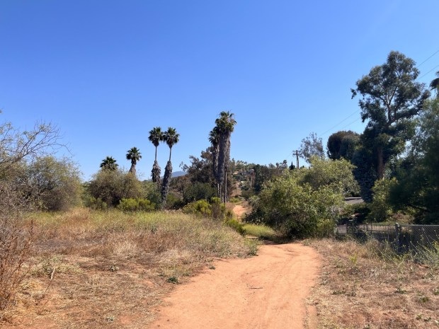 The trail begins heading south from Damon Lane. (Maura Fox / The San Diego Union-Tribune)