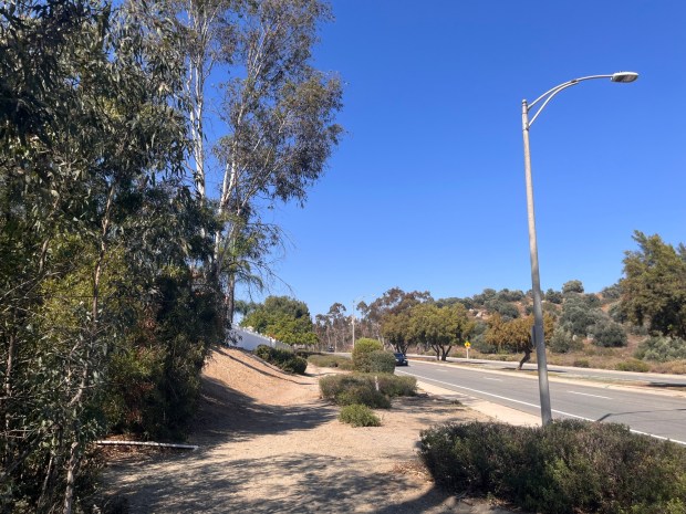 A short section of the hike travels along Weighorst Way. (Maura Fox / The San Diego Union-Tribune)