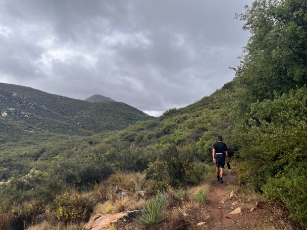 A hiker on the Equestrian Bypass Trail in Poway on a rainy morning. (Maura Fox / The San Diego Union-Tribune)