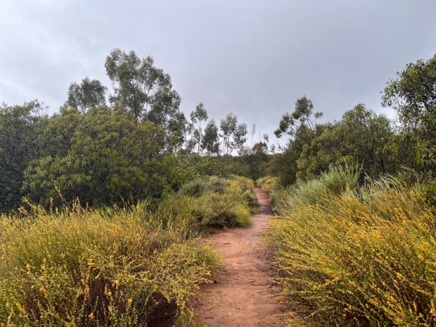 The Old Miner's Trail, colorful after a rain. (Maura Fox / The San Diego Union-Tribune)