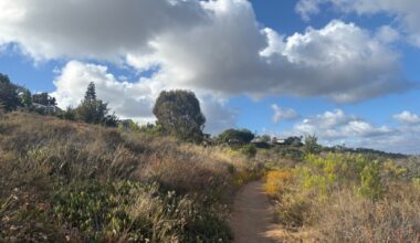 Hike of the week: A short loop along a Tecolote Canyon hillside is a post-work day wakeup – San Diego Union-Tribune