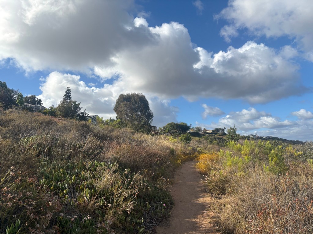 Hike of the week: A short loop along a Tecolote Canyon hillside is a post-work day wakeup – San Diego Union-Tribune