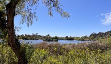Lakes, ponds, grasslands and woodlands delight at Guajome Regional Park – San Diego Union-Tribune