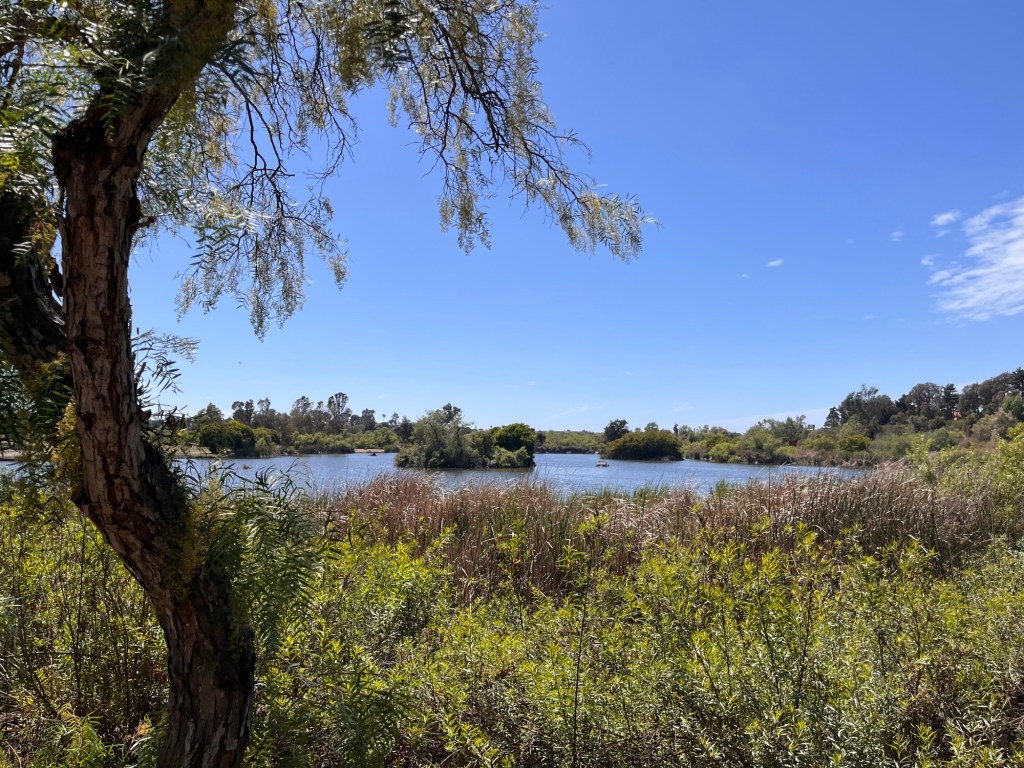 Lakes, ponds, grasslands and woodlands delight at Guajome Regional Park – San Diego Union-Tribune