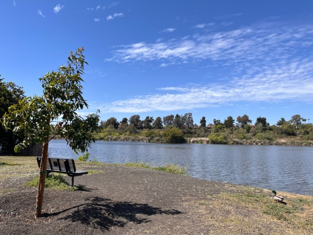 Benches and picnic tables surround Guajome Lake. (Maura Fox / The San Diego Union-Tribune)