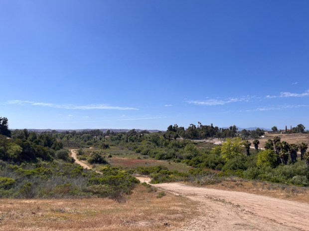 Overlooking the Luiseno Trail in Guajome Regional Park. (Maura Fox / The San Diego Union-Tribune)