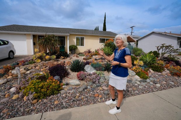Carol Kent, shown by the front yard, says she and her husband, Patrick, only paid for soil, irrigation and lighting. They got almost everything else plants, rocks and art free. One work estimate she got priced the backyard alone at more than $150,000. (Nelvin C. Cepeda / The San Diego Union-Tribune)