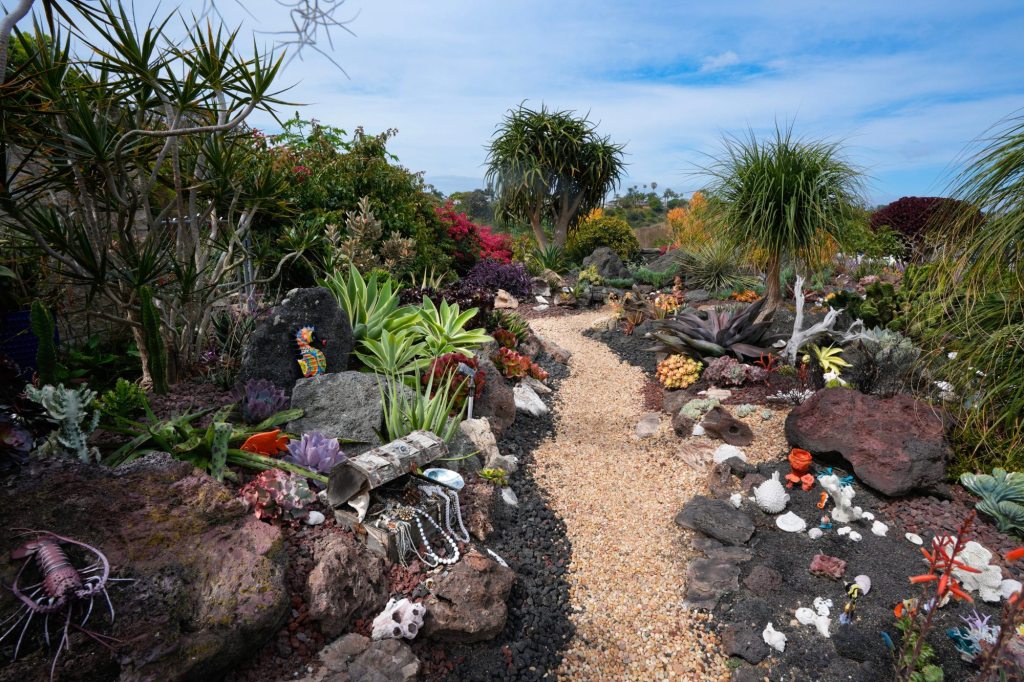 Under the sea … with succulents – San Diego Union-Tribune