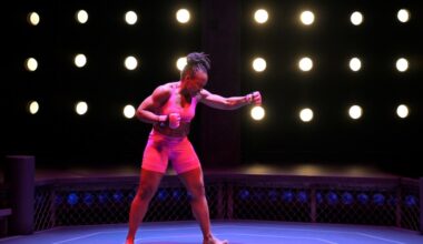 Siblings will square off in La Jolla Playhouse’s MMA-themed ‘The Monsters’ – San Diego Union-Tribune