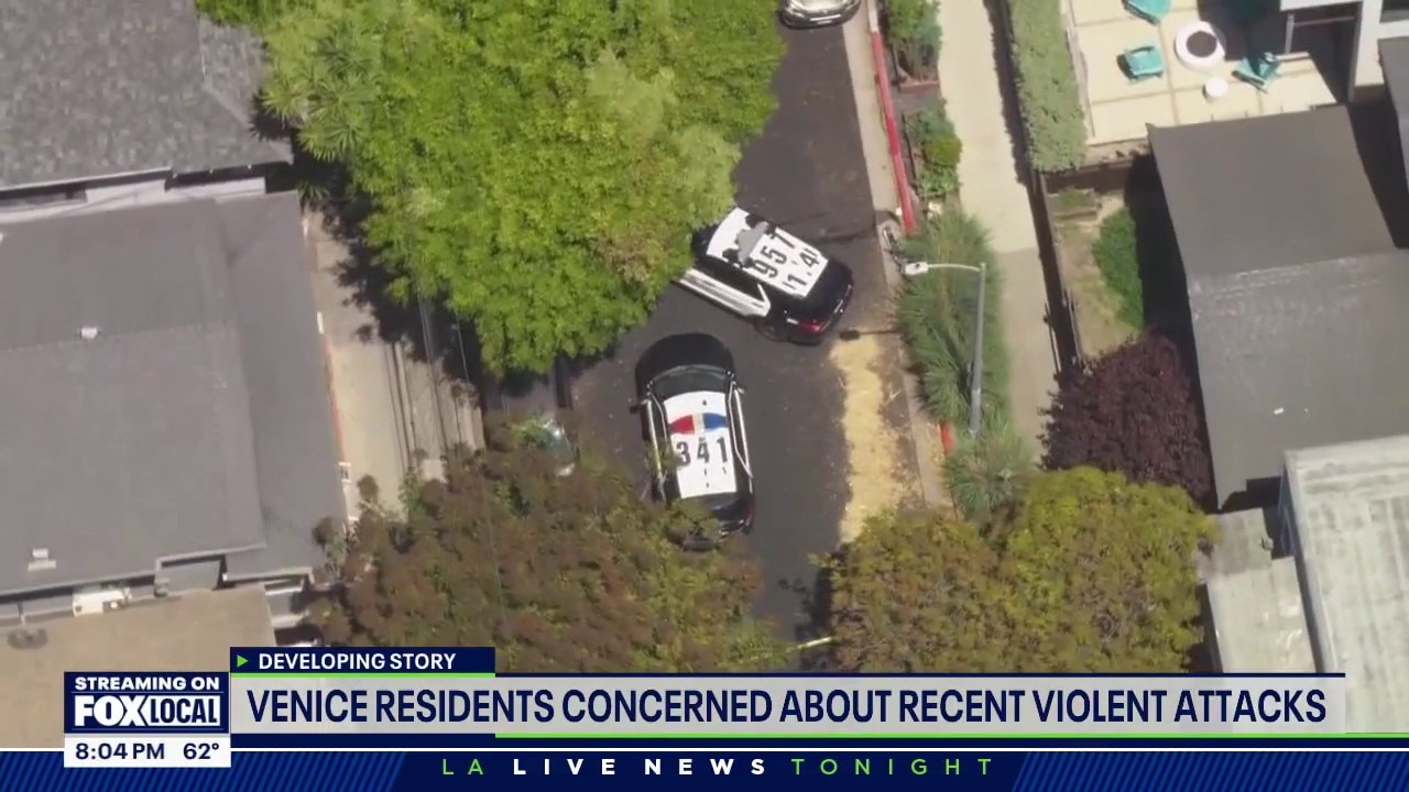 Venice residents concerned about recent violent attacks
