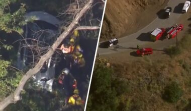 2 rescued in Tesla crash off Mulholland Highway in Malibu – NBC Los Angeles