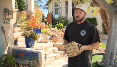 Del Mar man gets his stolen sports gear back after cracking the case for the cops – NBC 7 San Diego