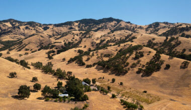 ucsantacruz503 20240816 Strathearn Ranch aerial