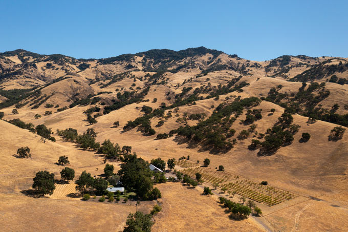 ucsantacruz503 20240816 Strathearn Ranch aerial