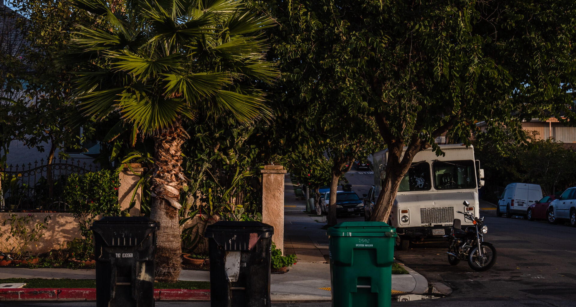 New food waste bins and garbage bins are lined up on the street in Grant Hill on Jan. 19, 2023.