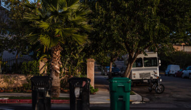 New food waste bins and garbage bins are lined up on the street in Grant Hill on Jan. 19, 2023.