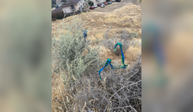 Bakersfield student arrested for DUI in crash hours before graduation