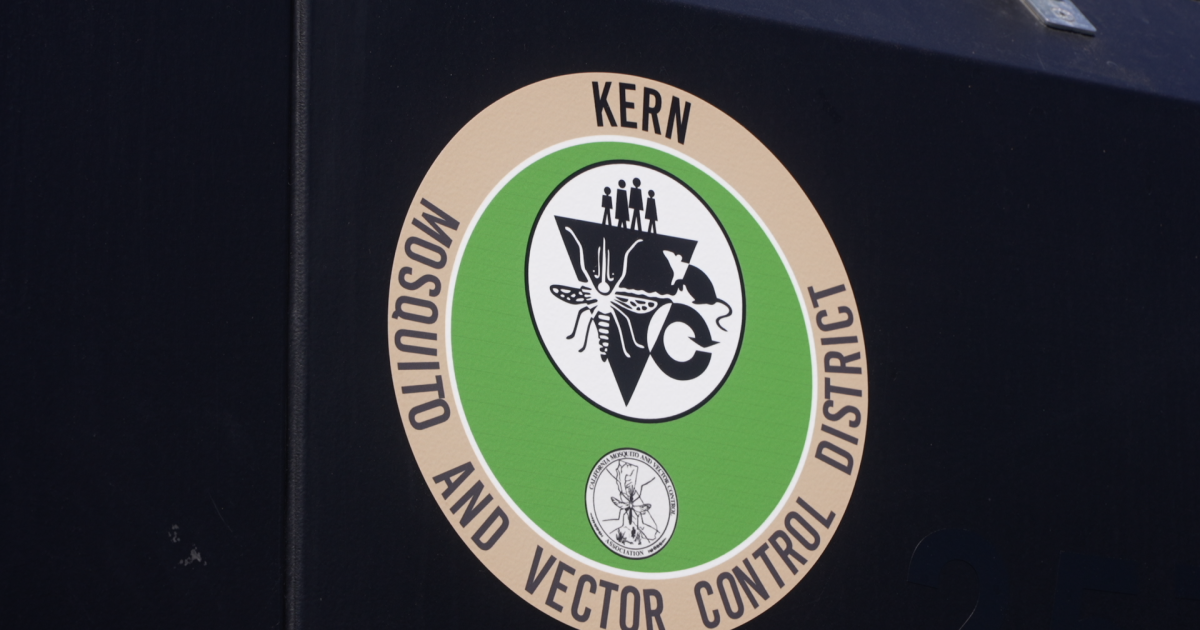 Mosquito season hits Kern County — here’s what to know
