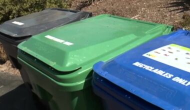 San Diego City Council to repeal Balboa Park parking fees, roll back trash fees