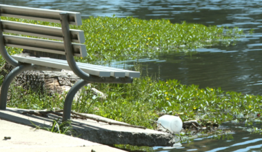 Pollution and Decay at Hart Park Lake Force Closure of Local Kayak Business