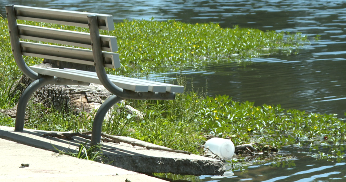 Pollution and Decay at Hart Park Lake Force Closure of Local Kayak Business