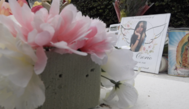 County health official arrested in Southcrest hit-and-run, death of bride-to-be