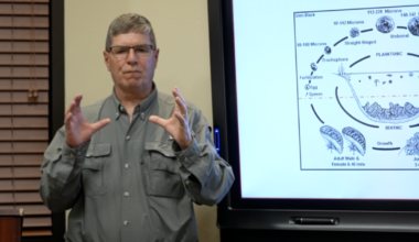 Invasive golden mussels threaten Kern County water systems