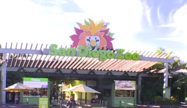 Shooting threat at San Diego Zoo determined to be hoax