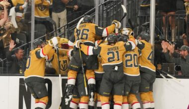 Dorofeyev scores in OT to give Knights 3-2 win over Ducks and 3-2 series lead
