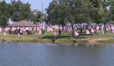 Rotary Club closes 12th annual Memorial Day flag display at Bakersfield park