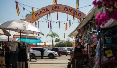 Latinos in California are mad at Trump. Their votes for Democrats’ gerrymandering show it