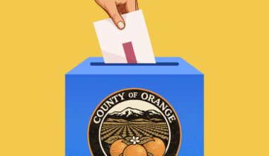 OC Board of Supervisors, District 2: Who's running in the June 2 primary and why it matters
