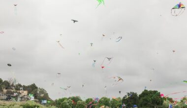 It started as a protest against the Dodgers gondola. LA's Kite Festival now draws thousands