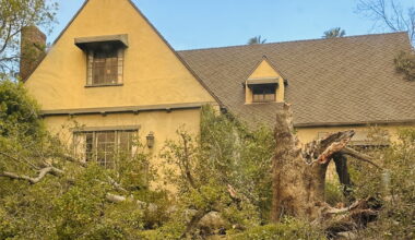 Rent gouging charges after the LA fires were rare. This Altadena couple is now filing their own case