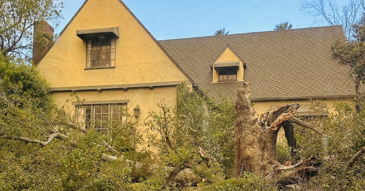 Rent gouging charges after the LA fires were rare. This Altadena couple is now filing their own case
