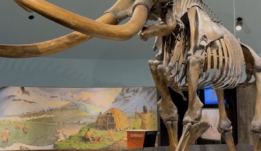 Last chance to see the La Brea Tar Pits before they close for 2 years
