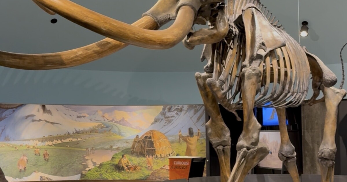 Last chance to see the La Brea Tar Pits before they close for 2 years