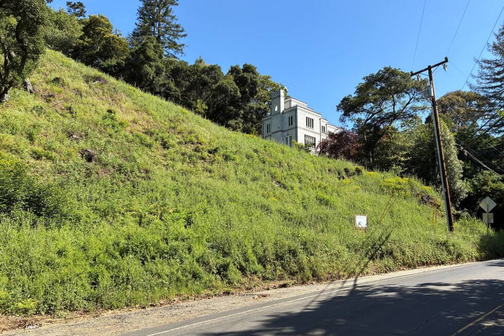 California landowners who cut 38 trees in Oakland hills hit with $915,000 fine