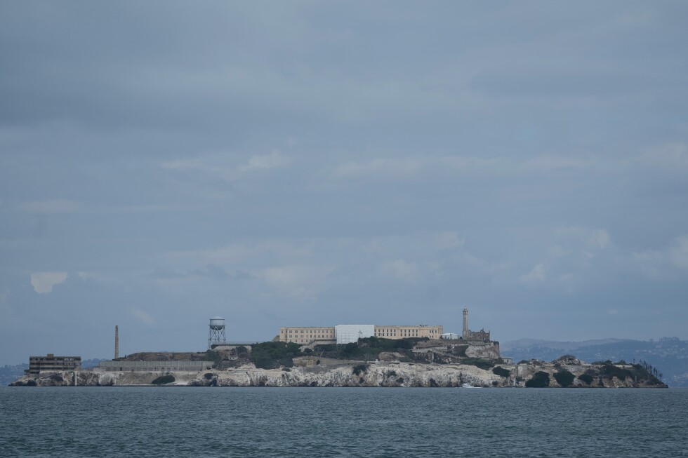 Male coyote swims from Angel Island to Alcatraz, surprising experts