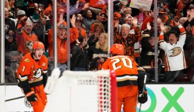 Anaheim Ducks surge into 2nd round of Stanley Cup playoffs after eliminating Oilers