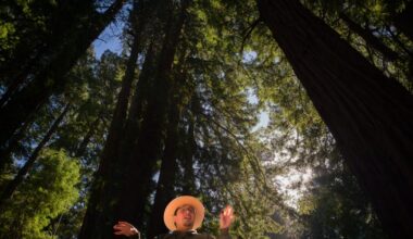 Looking to DNA for answers as climate change outpaces California wildlife's ability to evolve