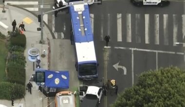 Woman killed in Santa Monica after crawling under Metro bus