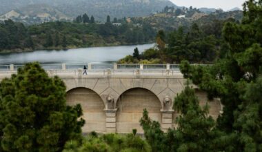 'May Gray has leveled up': Southern California can expect a cloudy, drizzly week