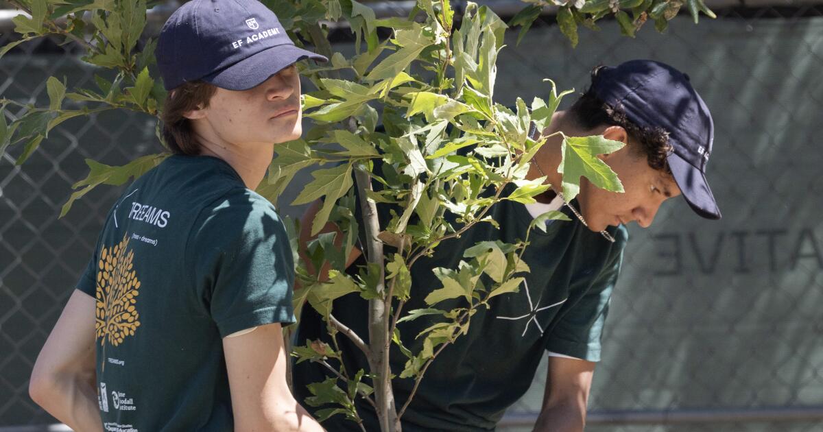 Inspired by Jane Goodall, students build nurseries to reforest L.A.'s fire-scorched communities